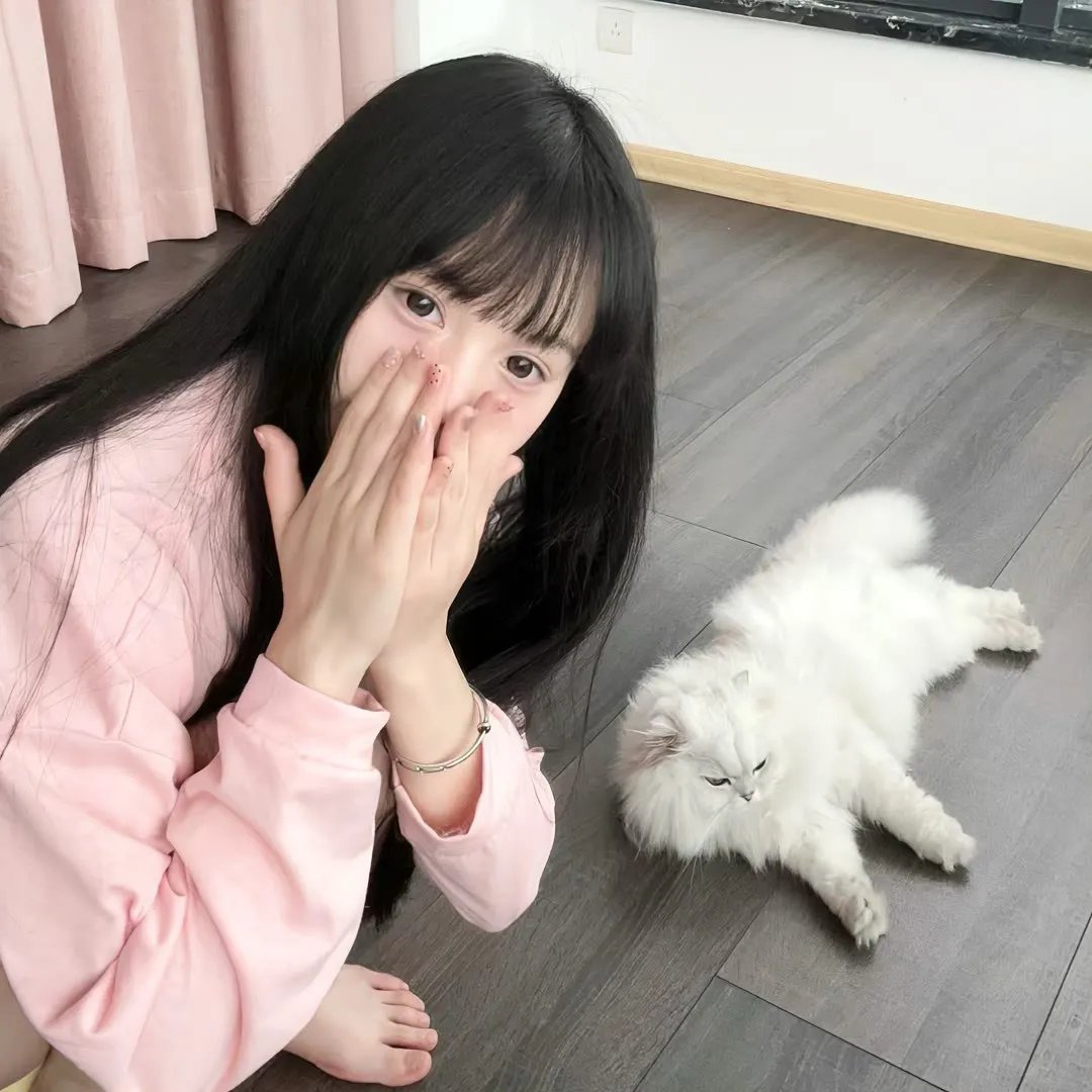 格里芬与菲尼克斯